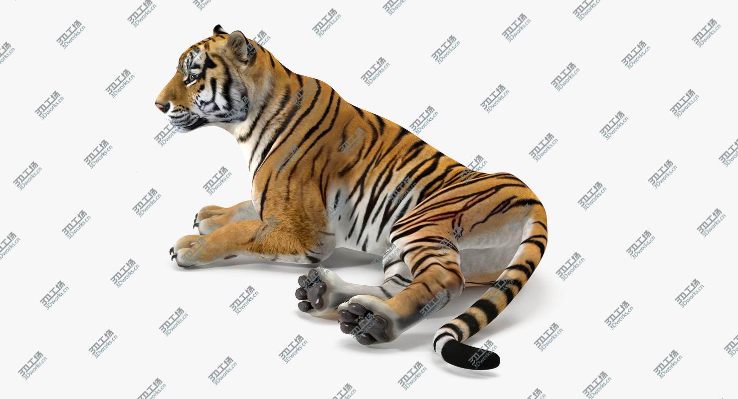 images/goods_img/202104021/3D model Lying Tiger/3.jpg
